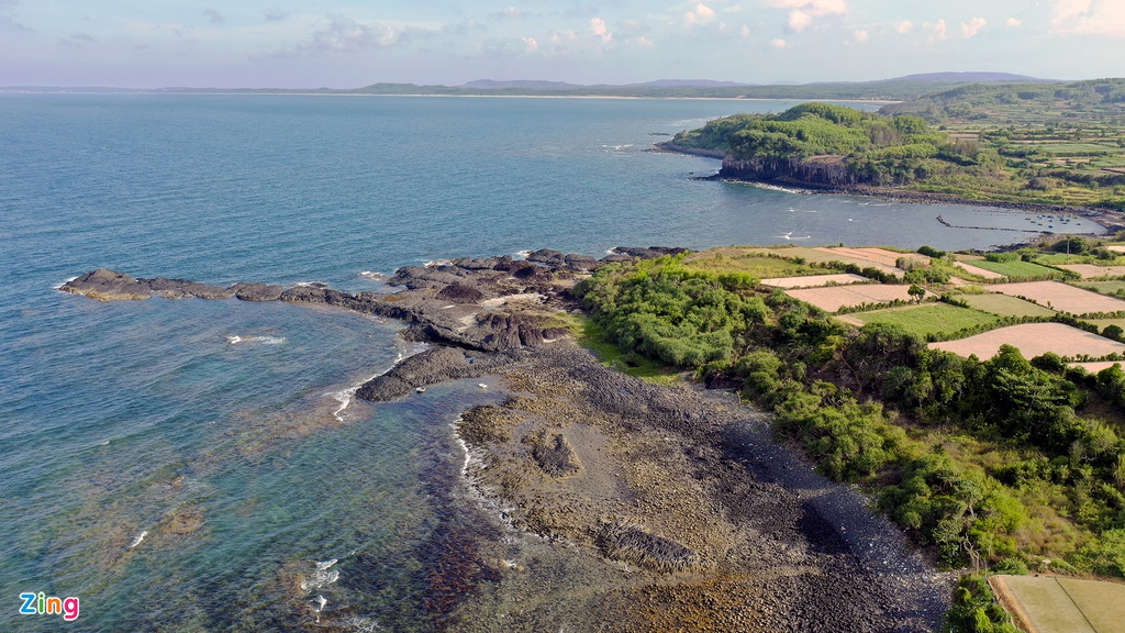 Unique open-air 'coral forest' on the Middle coast of Vietnam 5658 zing